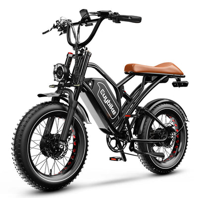 Euybike S4 Pro Max Dual Motor Fat Tire Ebike