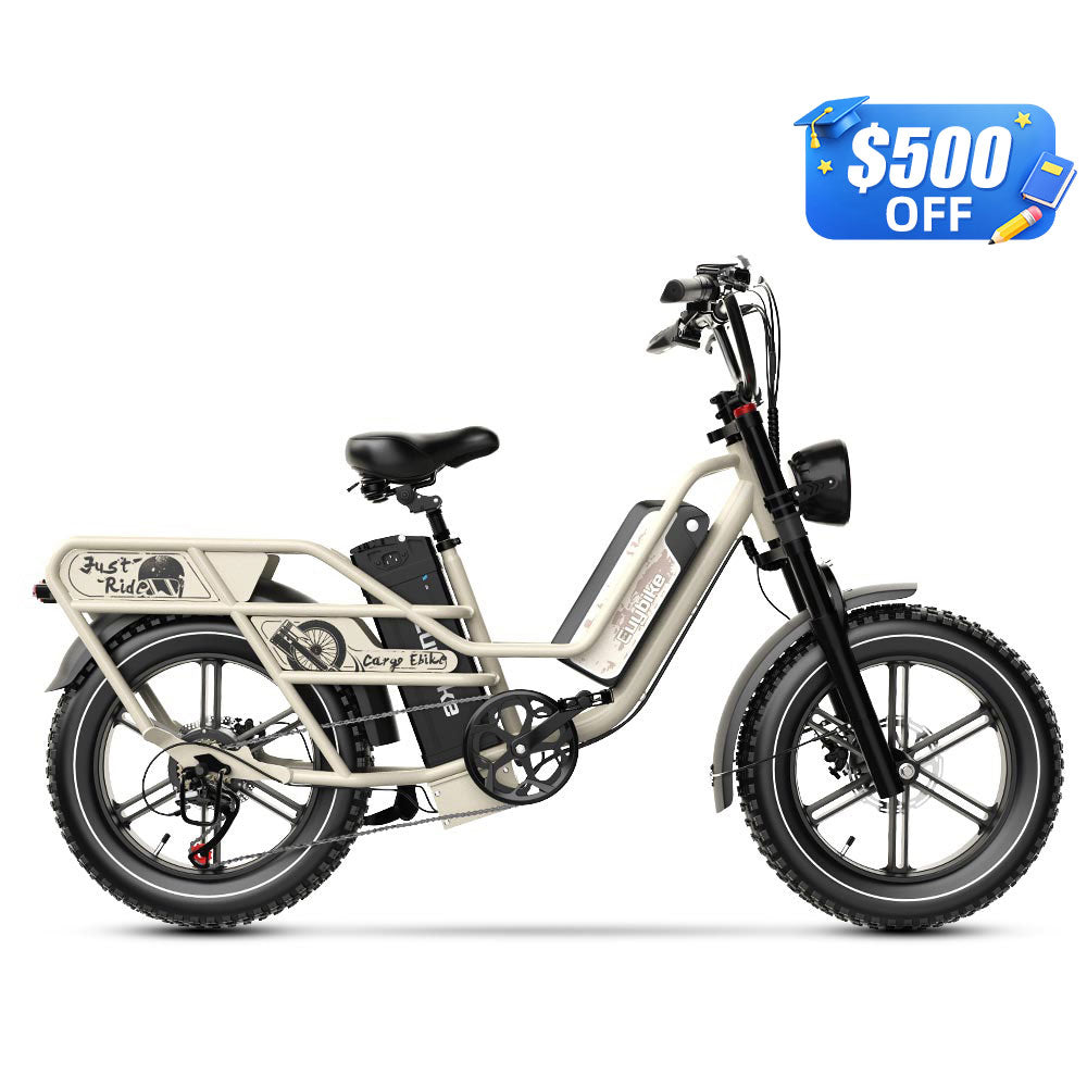 Euybike W1 Dual-Battery Long Range Utility EBike – euybike