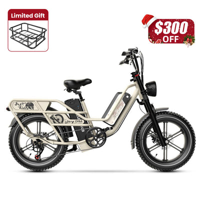 Euybike W1 Dual-Battery Long Range Utility EBike