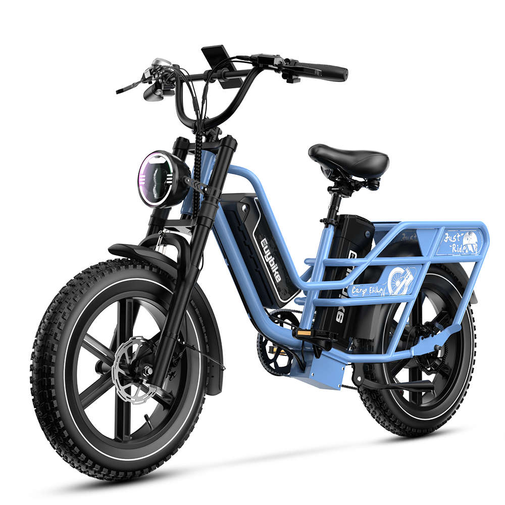 Euybike W1 Dual-Battery Long Range Utility EBike – euybike
