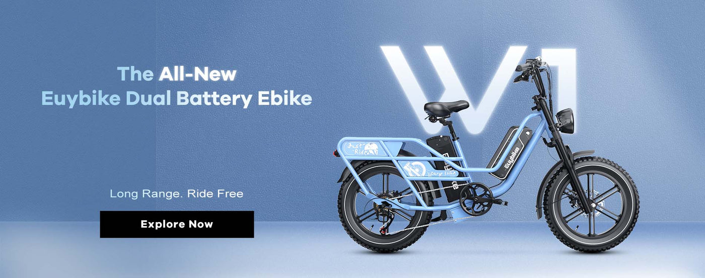 Euybike W1 Dual Battery Long Range Utility Electric-Bike