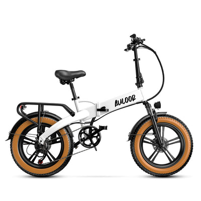 Euybike White NXB Fat Tire Ebike