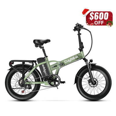 F6B Green Electric Bike Chrismas Sale