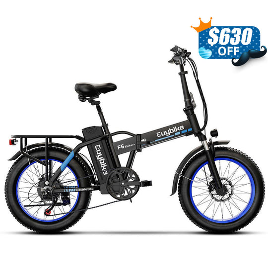 e bike fully 180mm Euy F6 Long Range Fat Tire Electric Bike
