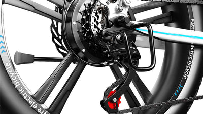 Fat Tires E bike 7 Speed Gear Shift System