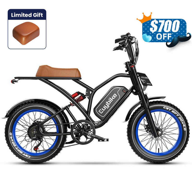 S4 Long Range Moped-Style Electric Bike