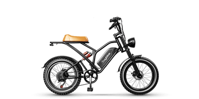 Moped Style Electric Bike Electric Moped with Pedals Euy S4