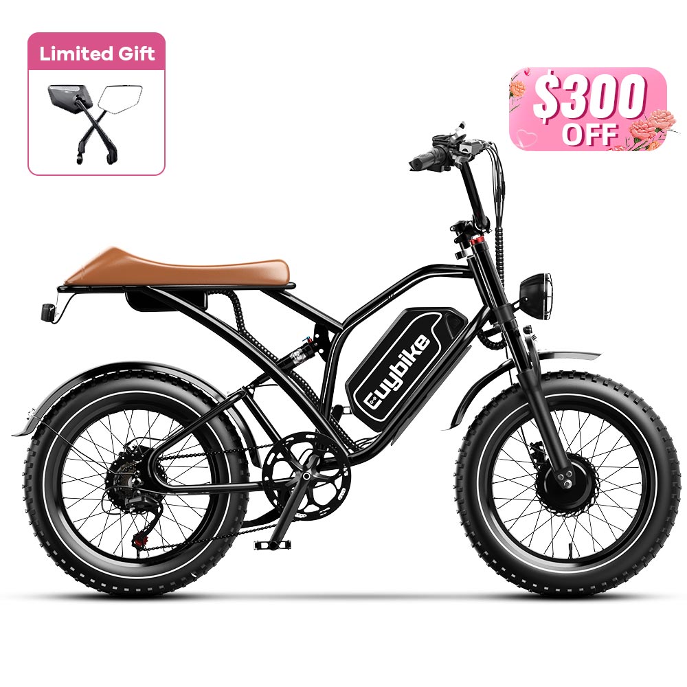 S4 Pro Max Electric Bike Mother's Day Sales
