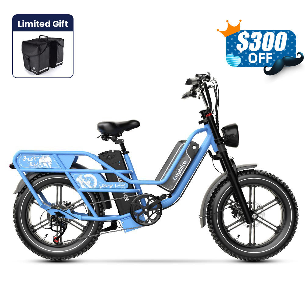 Euybike W1 Dual-Battery Long Range Utility EBike